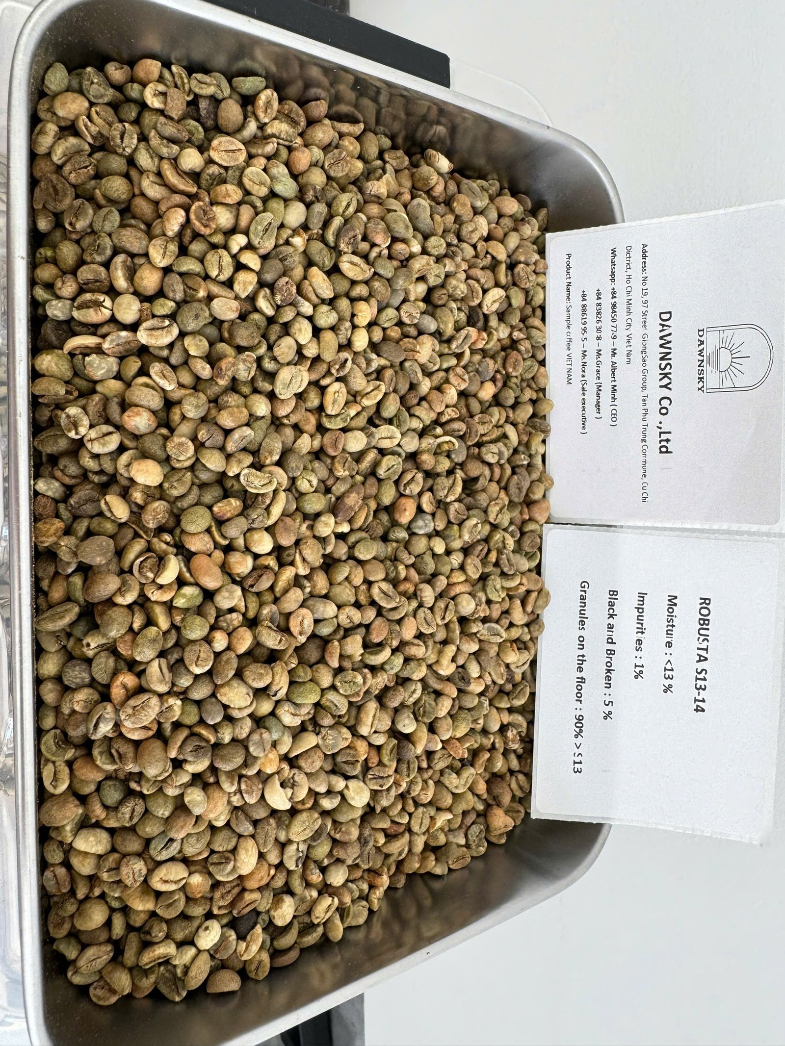 Robusta S13
