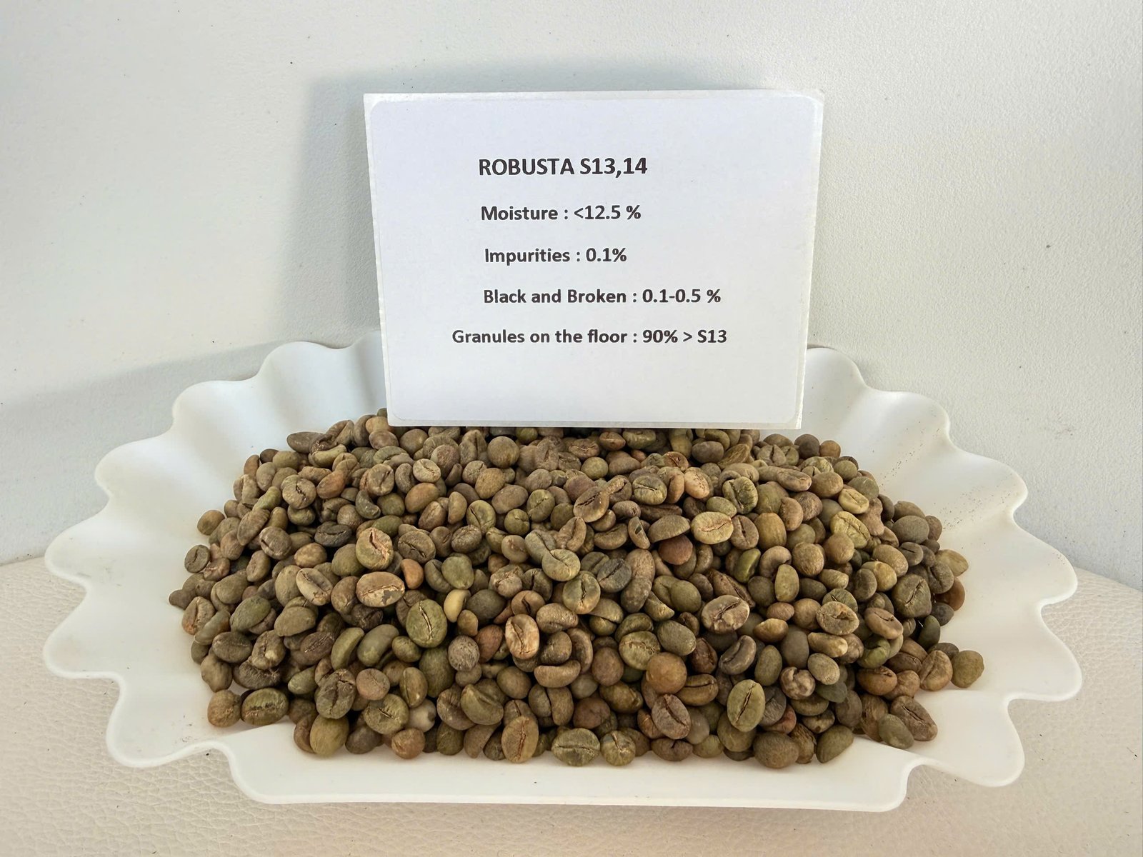 Robusta S13-14